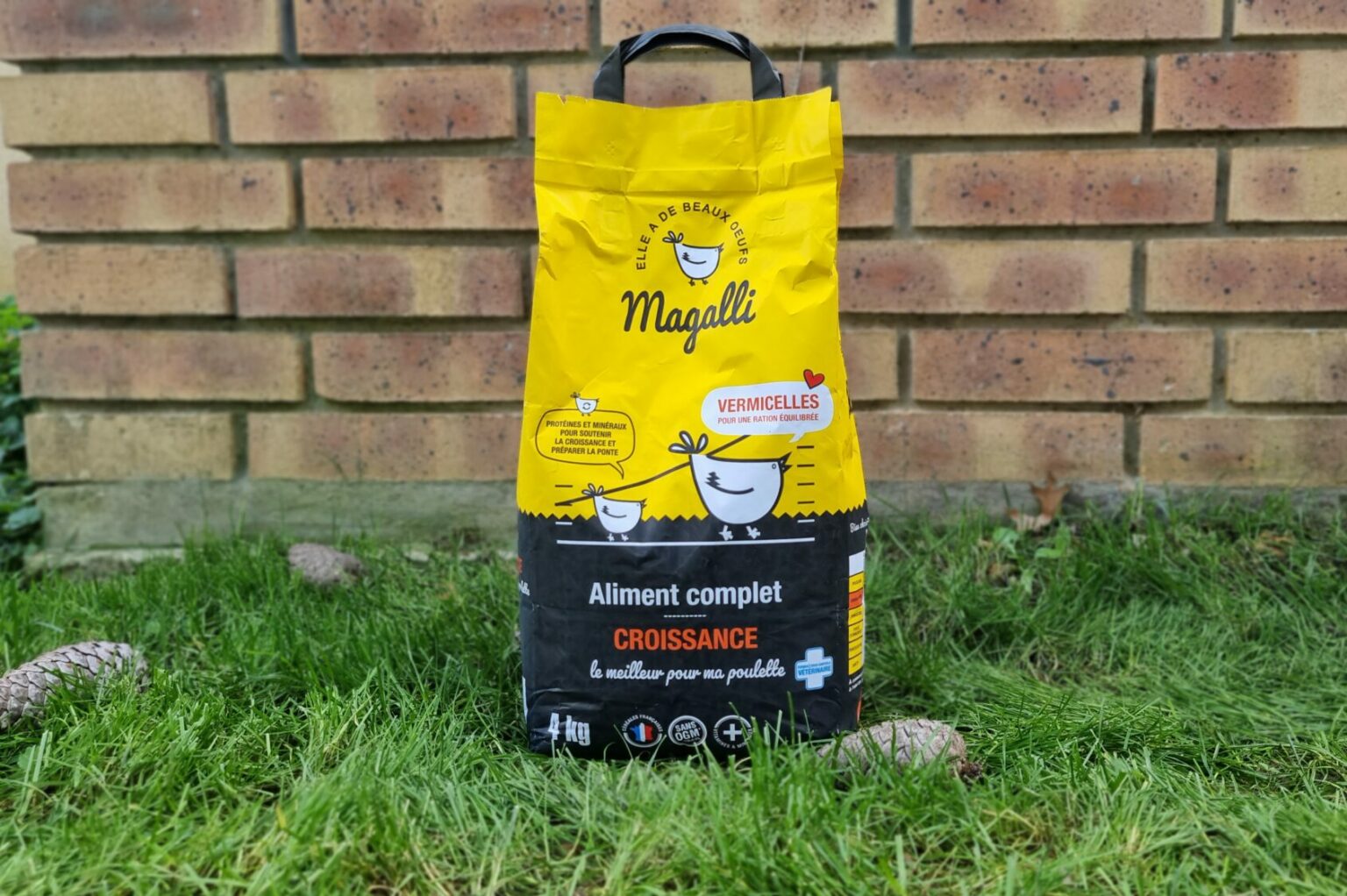 RIMBERIO 39 RIMBERIO -RIMBERIO MAGALLI Aliment Croissance poulettes pack 4 e1664880673193 1536x1022 1