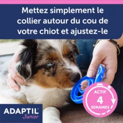 CEVA Collier Adaptil Junior -RIMBERIO adaptil collier 3
