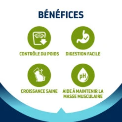 Advance Active Defense Chat Junior Sterilized Poulet -RIMBERIO advance active defense chat junior sterilized poulet 2