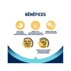 Advance Active Defense Chat Sterilized Sensitive Care Saumon -RIMBERIO advance active defense chat sterilized sensitive care saumon 2