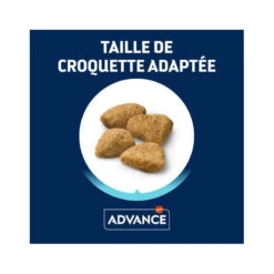 Advance Active Defense Chat Sterilized Sensitive Care Saumon -RIMBERIO advance active defense chat sterilized sensitive care saumon 4