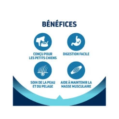 Advance Active Defense Chien Adulte Mini Poulet -RIMBERIO advance active defense chien adulte mini poulet 2