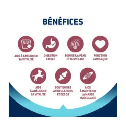 Advance Active Defense Chien Vitality +7 Senior Medium Poul. -RIMBERIO advance active defense chien vitality 7 senior medium poul 2