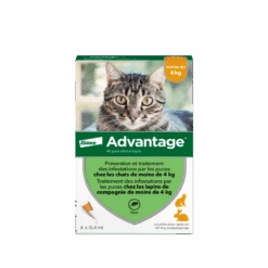 Advantage 40 Chat/Lapin De Moins De 4 Kg