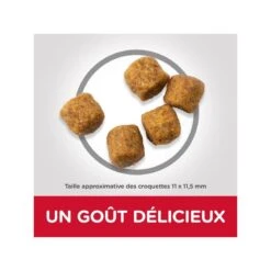 Canine Adult Medium Agneau & Riz -RIMBERIO canine adult medium agneau riz 2