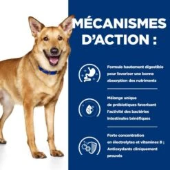 I/D Digestive Care Mini Mijotés Pour Chien Et Chiot Poulet & Légumes -RIMBERIO canine i d digestive care mijotes poulet legumes boite 4