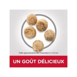 Canine Mature Mini Light Poulet 7 Canine Mature Mini Light Poulet -RIMBERIO canine mature mini light poulet 2