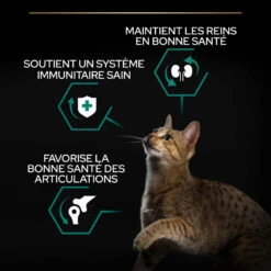 PURINA PRO PLAN Cat Adult Renal Plus Poulet -RIMBERIO cat adult chicken rice 7