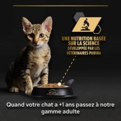 PURINA PRO PLAN Cat Baby Kitten Mousse Poulet Boîte -RIMBERIO cat baby kitten mousse poulet boite 4