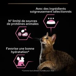 PURINA PRO PLAN Cat Delicate Dinde Boîte -RIMBERIO cat delicate boite 3