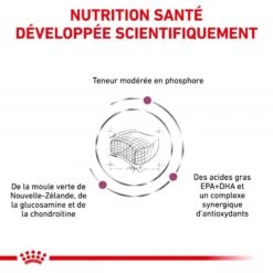 ROYAL CANIN Cat Early Renal -RIMBERIO cat early renal 2