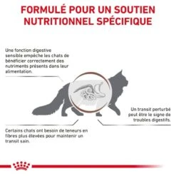 ROYAL CANIN Cat Gastro Intestinal Fibre Response Morceaux Sachet Repas -RIMBERIO cat gastro intestinal fibre response morceaux sachet repas 2