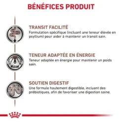 ROYAL CANIN Cat Gastro Intestinal Fibre Response Morceaux Sachet Repas -RIMBERIO cat gastro intestinal fibre response morceaux sachet repas 3