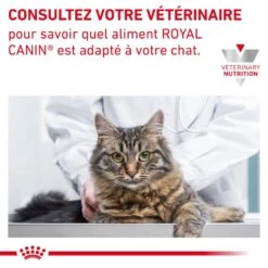 ROYAL CANIN Cat Gastro Intestinal Fibre Response Morceaux Sachet Repas -RIMBERIO cat gastro intestinal fibre response morceaux sachet repas 8
