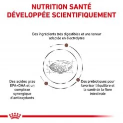 ROYAL CANIN Cat Gastro Intestinal Hairball -RIMBERIO cat gastro intestinal hairball 2