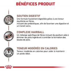 ROYAL CANIN Cat Gastro Intestinal Hairball -RIMBERIO cat gastro intestinal hairball 3