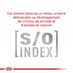 ROYAL CANIN Cat Gastro Intestinal Hairball -RIMBERIO cat gastro intestinal hairball 4
