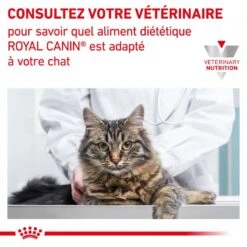 ROYAL CANIN Cat Gastro Intestinal Hairball -RIMBERIO cat gastro intestinal hairball 7