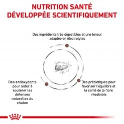 ROYAL CANIN Cat Gastro Intestinal Kitten 13 ROYAL CANIN Cat Gastro Intestinal Kitten -RIMBERIO cat gastro intestinal kitten 2