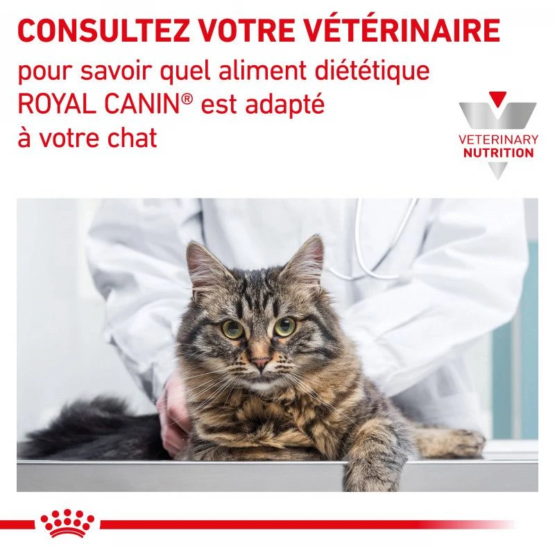 ROYAL CANIN Cat Gastro Intestinal Kitten 10 ROYAL CANIN Cat Gastro Intestinal Kitten – Image 8