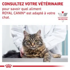 ROYAL CANIN Cat Hypoallergenic -RIMBERIO cat hypoallergenic 9