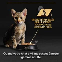 PURINA PRO PLAN Cat Kitten Mousse Poulet Boîte 18 PURINA PRO PLAN Cat Kitten Mousse Poulet Boîte -RIMBERIO cat junior chicken boite 4