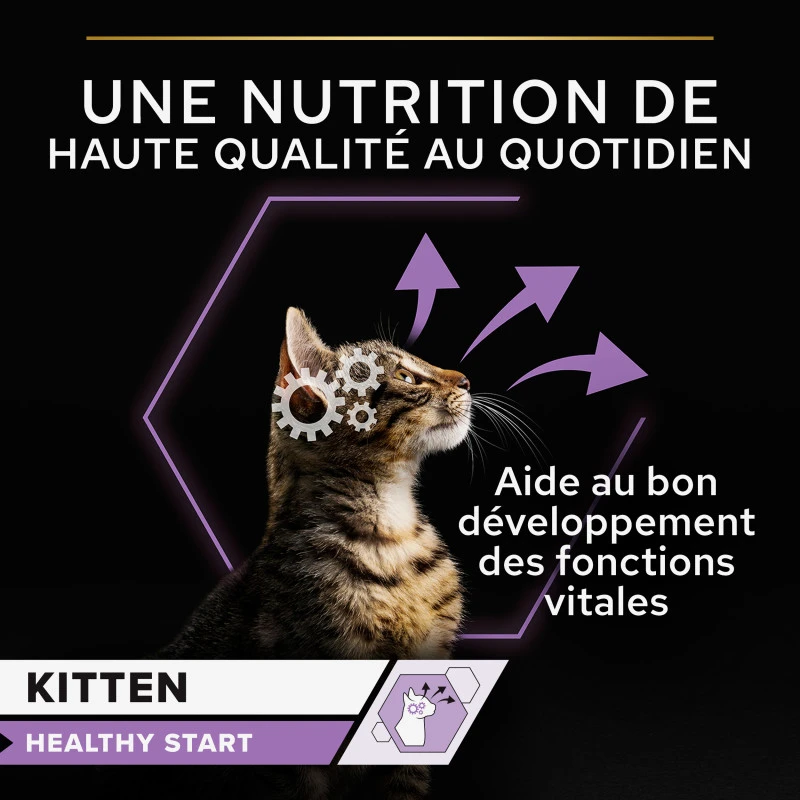 PURINA PRO PLAN Cat Kitten Mousse Poulet Boîte 8 PURINA PRO PLAN Cat Kitten Mousse Poulet Boîte – Image 6