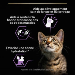 PURINA PRO PLAN Cat Kitten Mousse Poulet Boîte 20 PURINA PRO PLAN Cat Kitten Mousse Poulet Boîte -RIMBERIO cat junior chicken boite 6