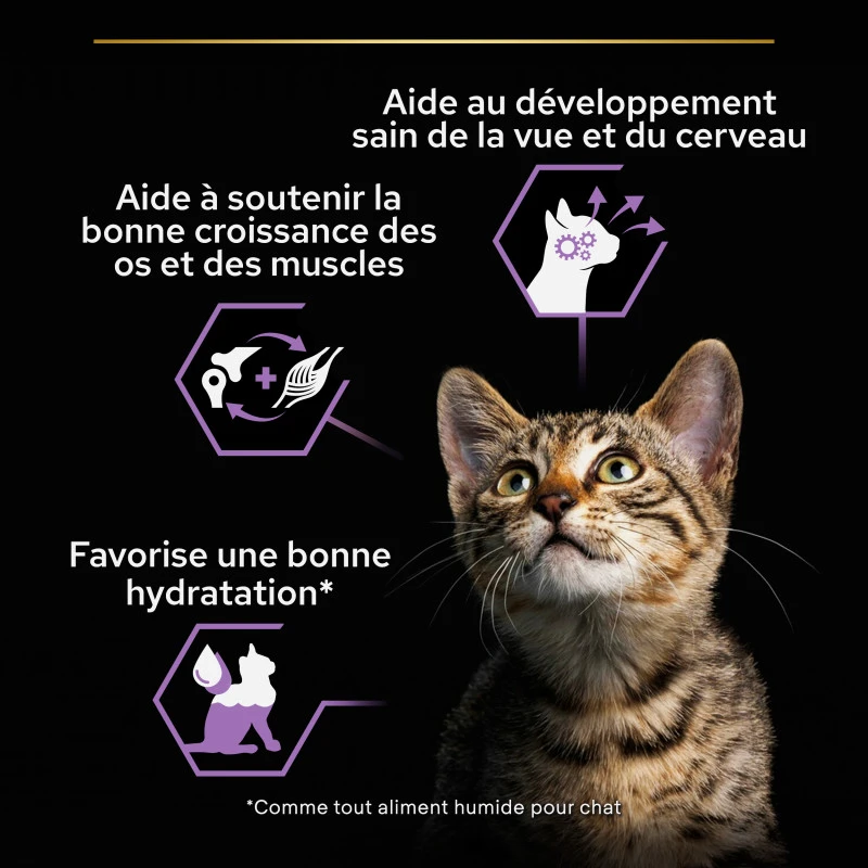 PURINA PRO PLAN Cat Kitten Mousse Poulet Boîte 9 PURINA PRO PLAN Cat Kitten Mousse Poulet Boîte – Image 7