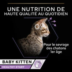 PURINA PRO PLAN Cat Kitten Mousse Poulet Boîte 21 PURINA PRO PLAN Cat Kitten Mousse Poulet Boîte -RIMBERIO cat junior chicken boite 7