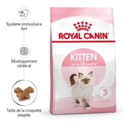 Cat Kitten Royal Canin 11 Cat Kitten Royal Canin -RIMBERIO cat kitten royal canin 1