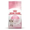 Cat Kitten Royal Canin -RIMBERIO cat kitten royal canin