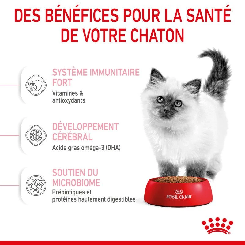 Cat Kitten Royal Canin 8 Cat Kitten Royal Canin – Image 6