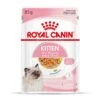 Cat Kitten Royal Canin Emincé En Gelée Sachet Repas -RIMBERIO cat kitten royal canin emince en gelee sachet repas