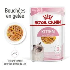 Cat Kitten Royal Canin Emincé En Gelée Sachet Repas -RIMBERIO cat kitten royal canin emince en gelee sachet repas 2