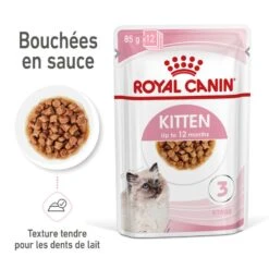 Cat Kitten Royal Canin Emincé En Sauce Sachet Repas -RIMBERIO cat kitten royal canin emince en sauce sachet repas 2