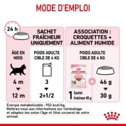 Cat Kitten Royal Canin Emincé En Sauce Sachet Repas -RIMBERIO cat kitten royal canin emince en sauce sachet repas 3