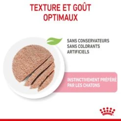 Cat Kitten Royal Canin Mousse Sachet Repas 14 Cat Kitten Royal Canin Mousse Sachet Repas -RIMBERIO cat kitten royal canin mousse sachet repas 3