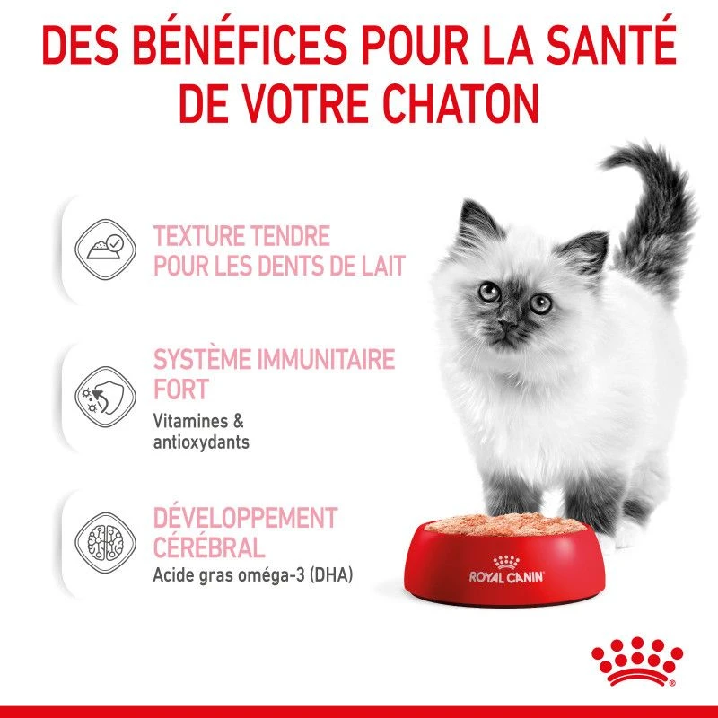 Cat Kitten Royal Canin Mousse Sachet Repas 9 Cat Kitten Royal Canin Mousse Sachet Repas – Image 7