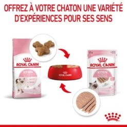Cat Kitten Royal Canin Mousse Sachet Repas 18 Cat Kitten Royal Canin Mousse Sachet Repas -RIMBERIO cat kitten royal canin mousse sachet repas 7