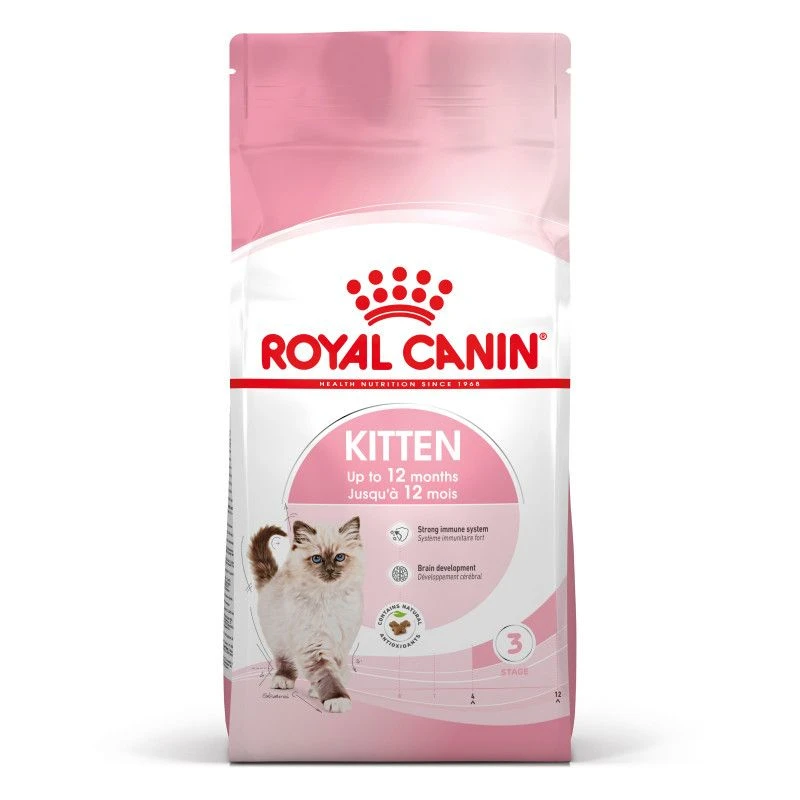 Cat Kitten Royal Canin 3 Cat Kitten Royal Canin