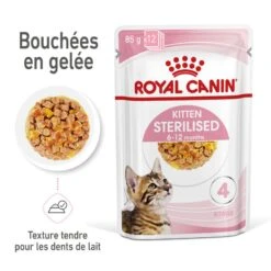 Cat Kitten Sterilised Royal Canin Emincé En Gelée Sachet Repas 13 Cat Kitten Sterilised Royal Canin Emincé En Gelée Sachet Repas -RIMBERIO cat kitten sterilised royal canin eminen gelee sachet repas 2