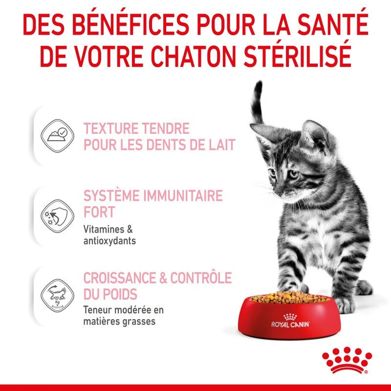 Cat Kitten Sterilised Royal Canin Emincé En Gelée Sachet Repas 9 Cat Kitten Sterilised Royal Canin Emincé En Gelée Sachet Repas – Image 7