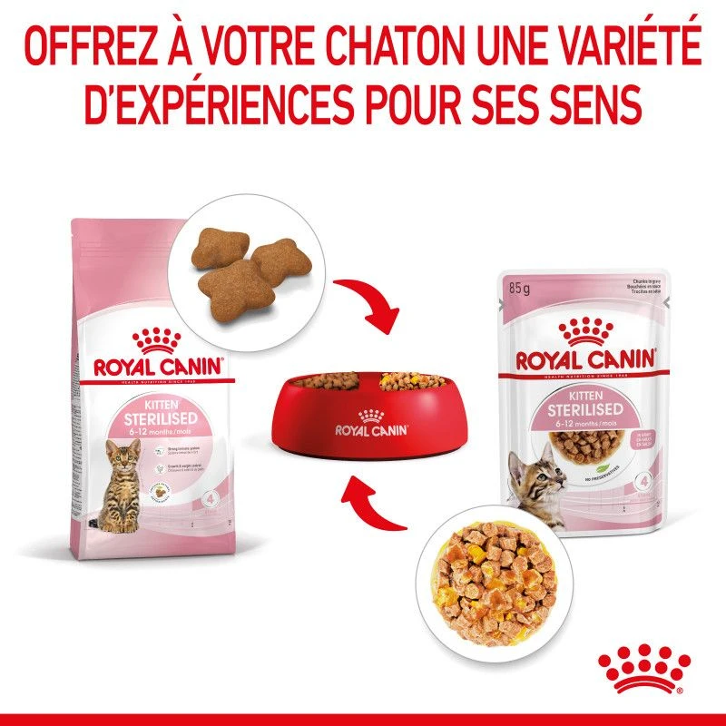 Cat Kitten Sterilised Royal Canin Emincé En Gelée Sachet Repas 10 Cat Kitten Sterilised Royal Canin Emincé En Gelée Sachet Repas – Image 8