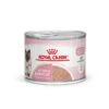 ROYAL CANIN Cat Mother & Babycat Boîte -RIMBERIO cat mother babycat boite