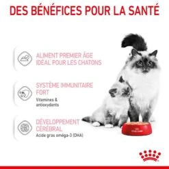 ROYAL CANIN Cat Mother & Babycat Boîte 13 ROYAL CANIN Cat Mother & Babycat Boîte -RIMBERIO cat mother babycat boite 3