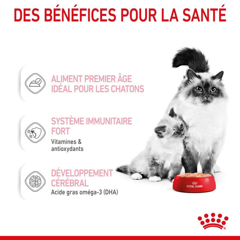 ROYAL CANIN Cat Mother & Babycat Boîte 6 ROYAL CANIN Cat Mother & Babycat Boîte – Image 4