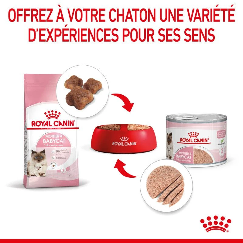 ROYAL CANIN Cat Mother & Babycat Boîte 7 ROYAL CANIN Cat Mother & Babycat Boîte – Image 5