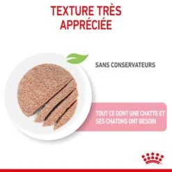 ROYAL CANIN Cat Mother & Babycat Boîte 15 ROYAL CANIN Cat Mother & Babycat Boîte -RIMBERIO cat mother babycat boite 5