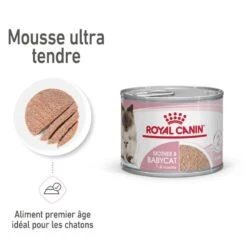 ROYAL CANIN Cat Mother & Babycat Boîte 16 ROYAL CANIN Cat Mother & Babycat Boîte -RIMBERIO cat mother babycat boite 6
